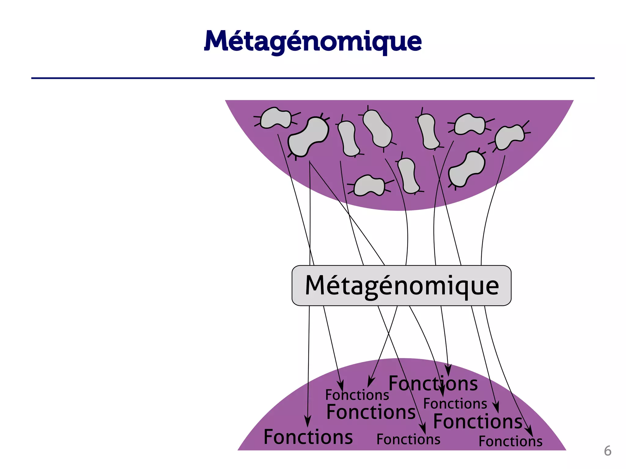 Métagénomique
6








 