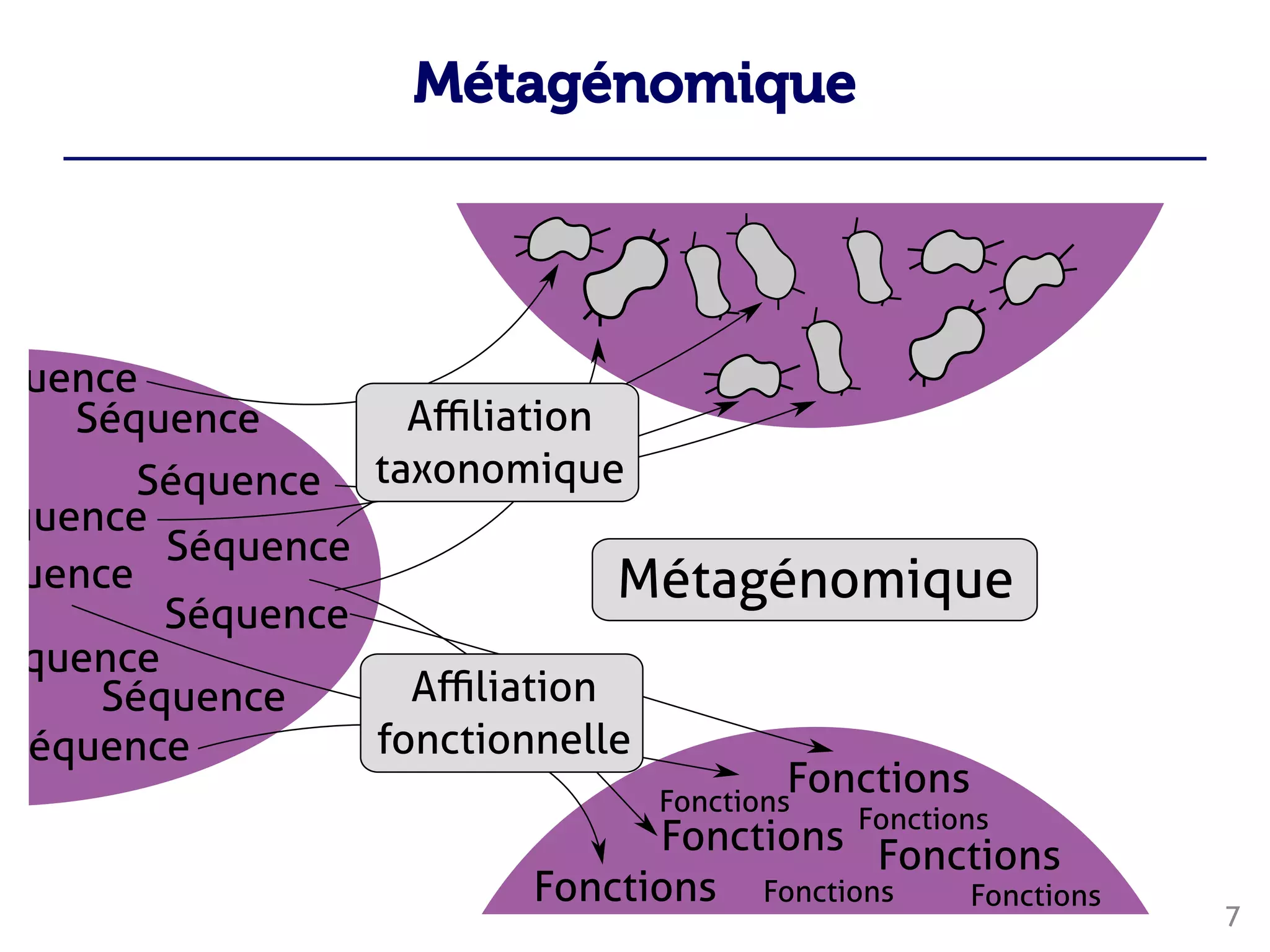 Métagénomique
7






















 
