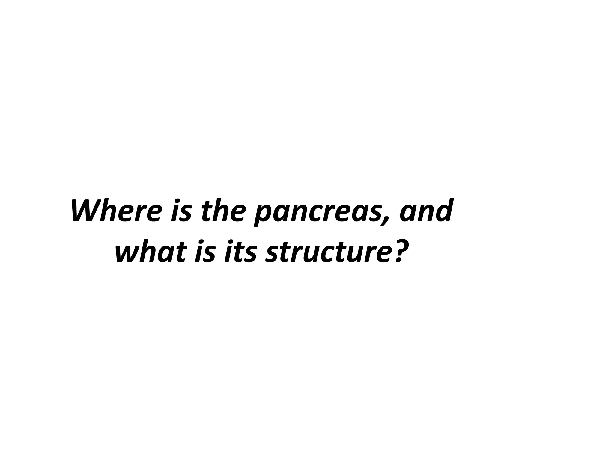 Where is the pancreas, and
what is its structure?

 