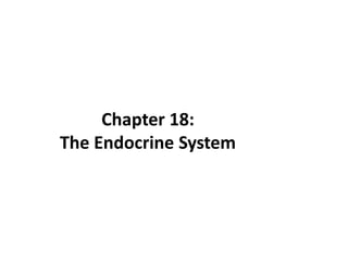Chapter 18:
The Endocrine System

 