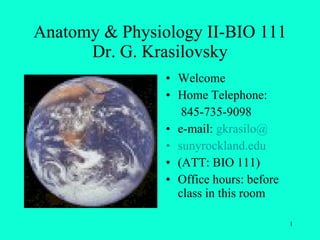 Anatomy & Physiology II-BIO 111 Dr. G. Krasilovsky ,[object Object],[object Object],[object Object],[object Object],[object Object],[object Object],[object Object]