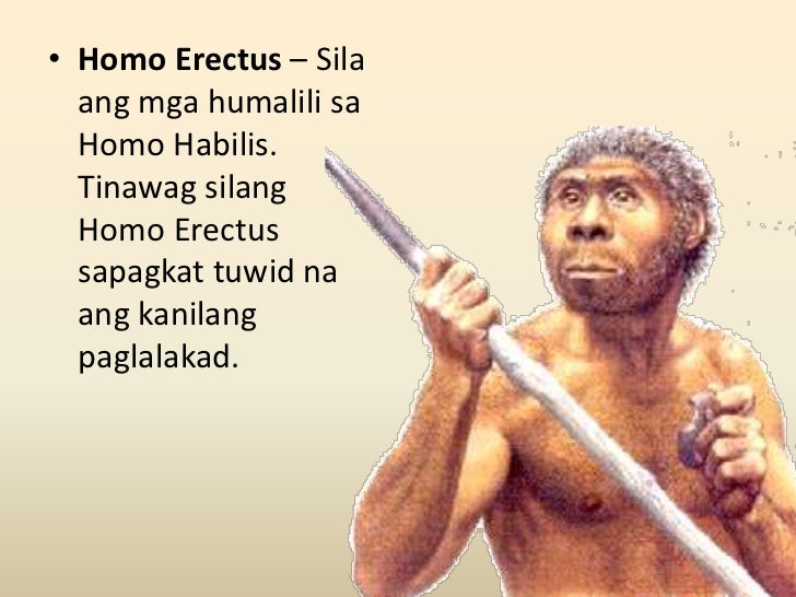 Uri Ng Pamumuhay Ng Neanderthal Man - Mobile Legends