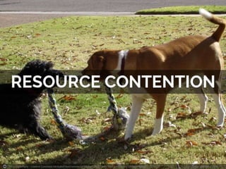 Photo by daftgirly - Creative Commons Attribution-NonCommercial License https://www.flickr.com/photos/32493439@N00 Created with Haiku Deck 
 