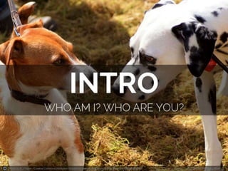 Photo by K J Payne - Creative Commons Attribution-ShareAlike License http://www.flickr.com/photos/34209858@N07 Created with Haiku Deck 
 