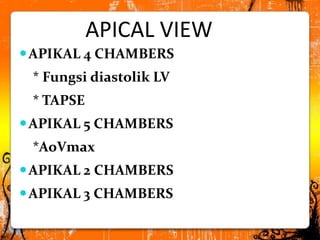 Apikal view,subcostal view,dan supra sternal view | PPT