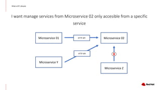 Api Lifecycle Operation with Open Source Products | PDF