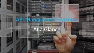 API Management Systems
At a Glance
 