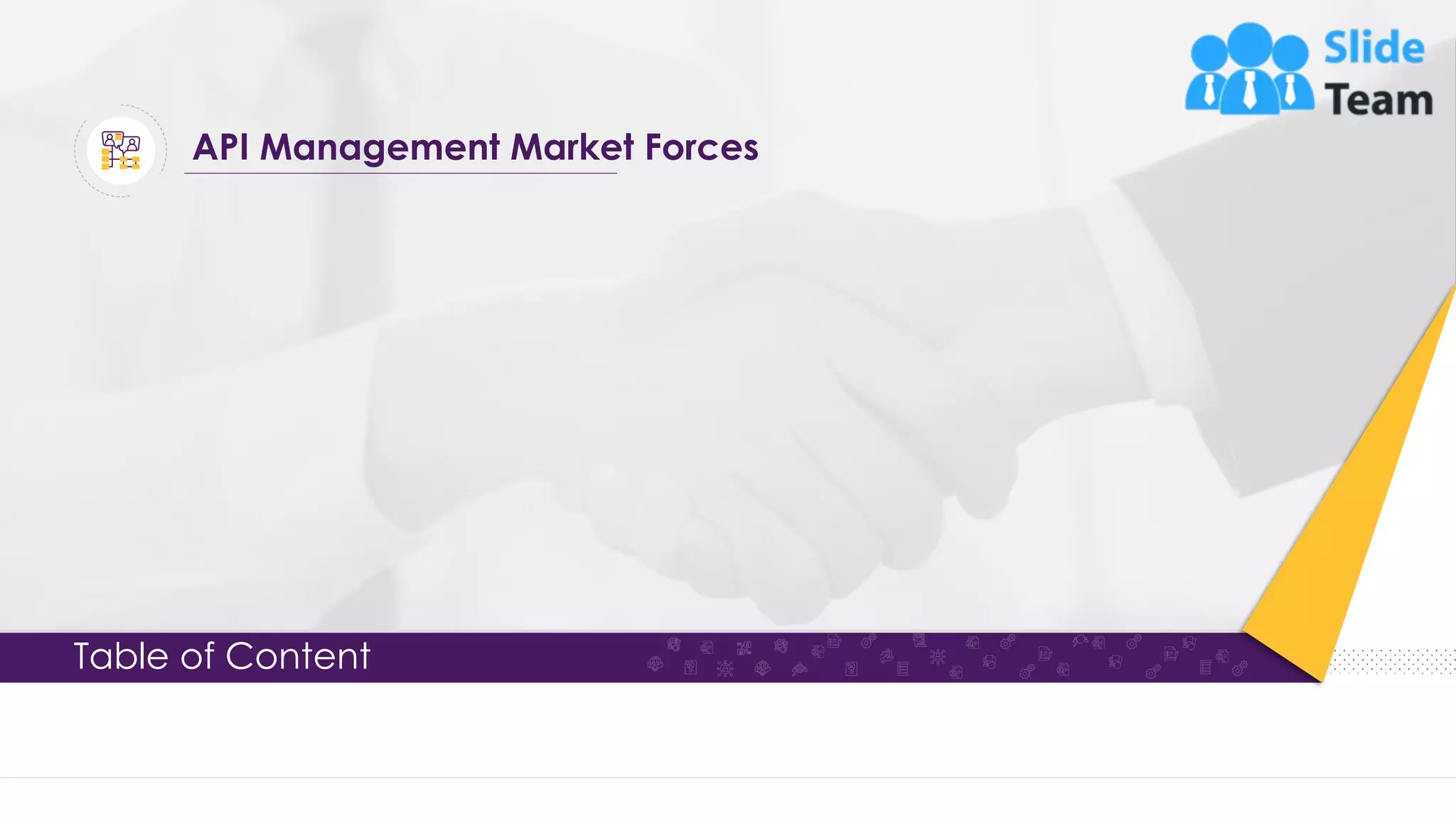 Table of Content API Management Market Forces 19 