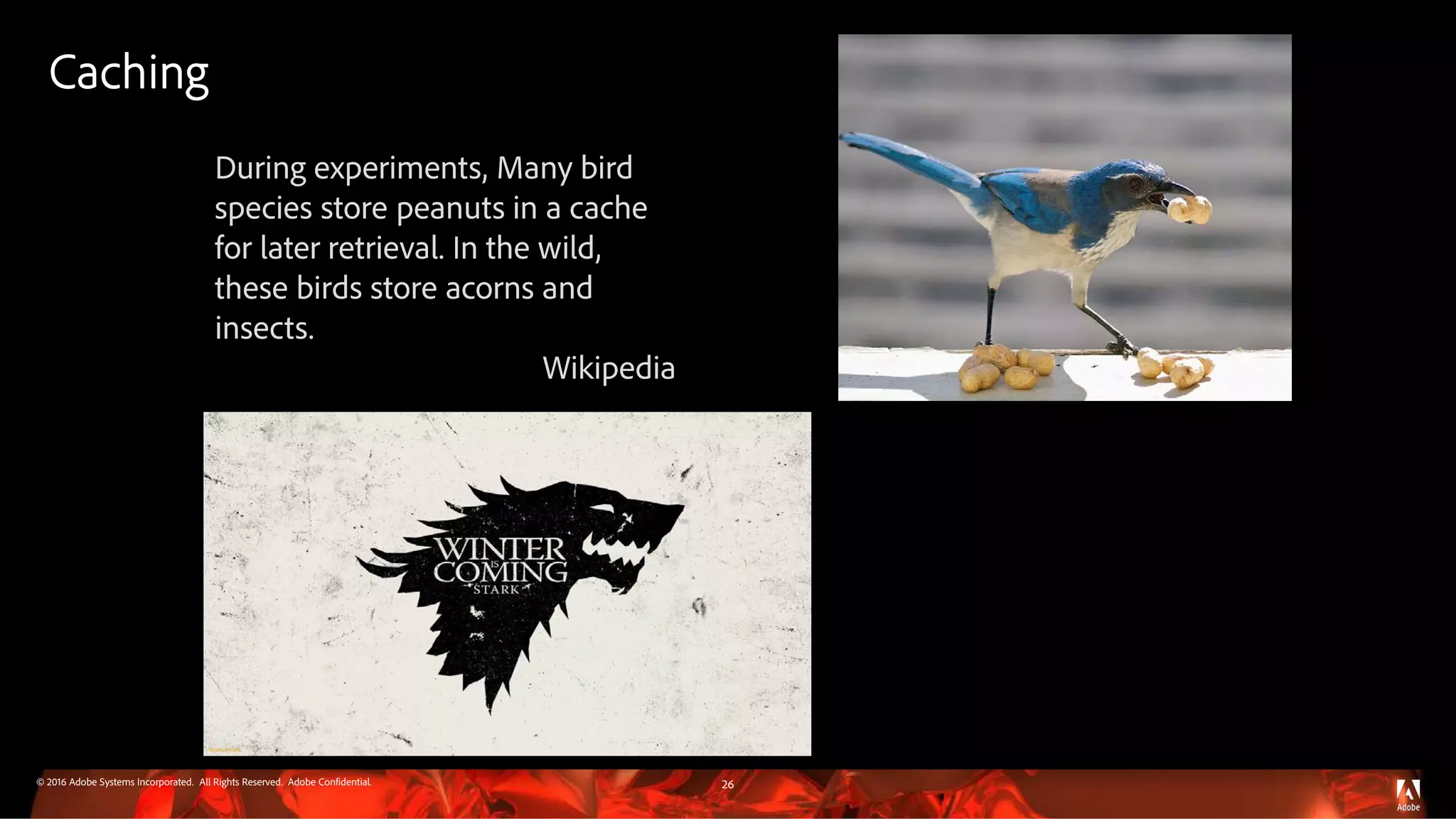 © 2016 Adobe Systems Incorporated. All Rights Reserved. Adobe Confidential.
Caching
26
During experiments, Many bird
species store peanuts in a cache
for later retrieval. In the wild,
these birds store acorns and
insects.
Wikipedia
 
