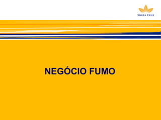 NEGÓCIO FUMO 
 