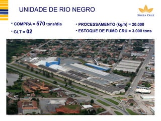 UNIDADE DE RIO NEGRO 
• COMPRA = 570 tons/dia 
• GLT = 02 
• PROCESSAMENTO (kg/h) = 20.000 
• ESTOQUE DE FUMO CRU = 3.000 tons 
 