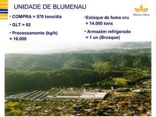 UNIDADE DE BLUMENAU 
•Estoque de fumo cru 
= 14.000 tons 
• Armazém refrigerado 
= 1 un (Brusque) 
• COMPRA = 570 tons/dia 
• GLT = 02 
• Processamento (kg/h) 
= 16.000 
 