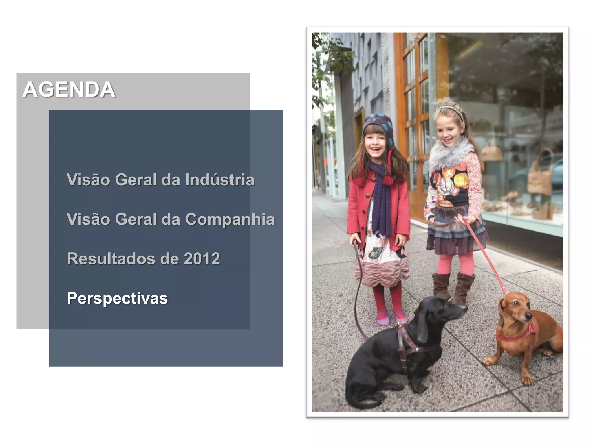 AGENDA



  Visão Geral da Indústria

  Visão Geral da Companhia

  Resultados de 2012

  Perspectivas
 