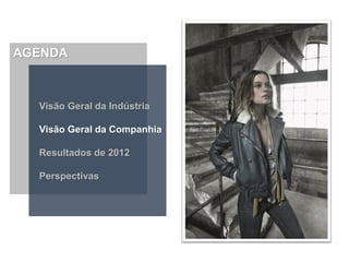AGENDA



  Visão Geral da Indústria

  Visão Geral da Companhia

  Resultados de 2012

  Perspectivas
 