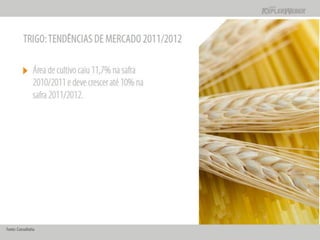 Apresentação Apimec SP -  Resultados 2010