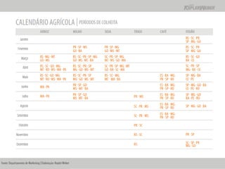 Apresentação Apimec SP -  Resultados 2010