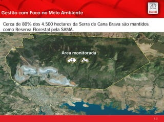 Gestão com Foco no Meio Ambiente

Cerca de 80% dos 4.500 hectares da Serra de Cana Brava são mantidos
como Reserva Florestal pela SAMA.




                          Área monitorada




                                                                      40
 