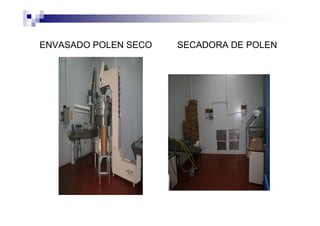 ENVASADO POLEN SECO SECADORA DE POLEN