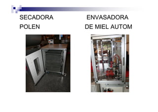 SECADORA ENVASADORA
POLEN DE MIEL AUTOM