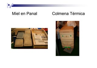 Miel en Panal Colmena Térmica