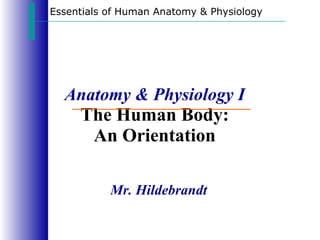 Anatomy & Physiology I The Human Body: An Orientation Essentials of Human Anatomy & Physiology Mr. Hildebrandt 