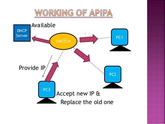 Apipa