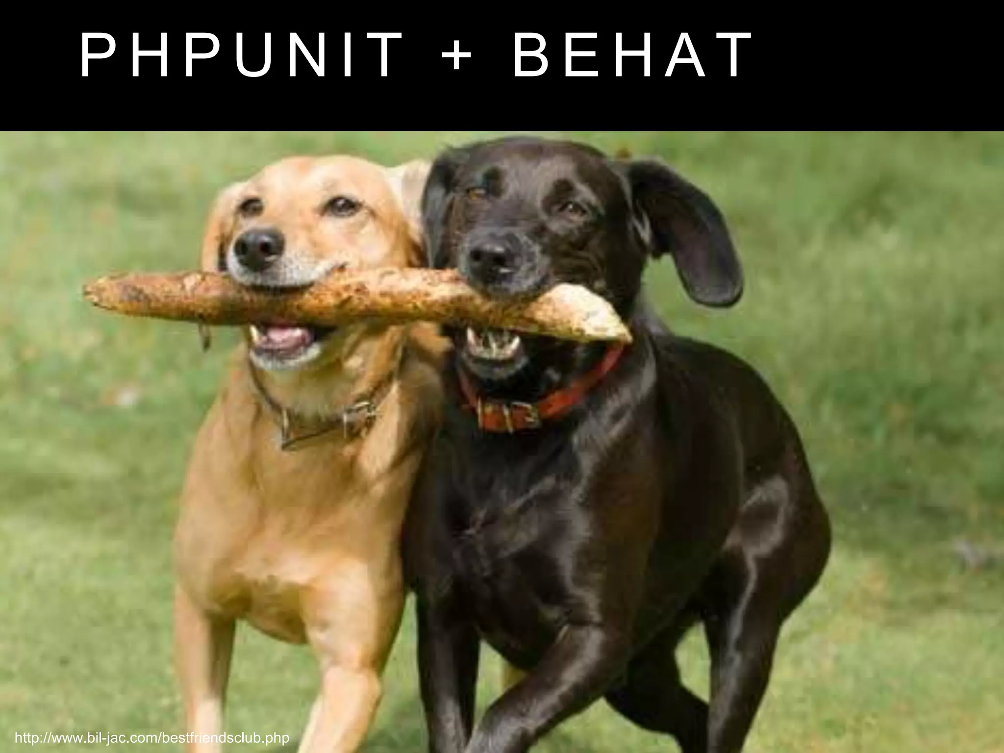 P H P U N I T + B E H A T
http://www.bil-jac.com/bestfriendsclub.php
 