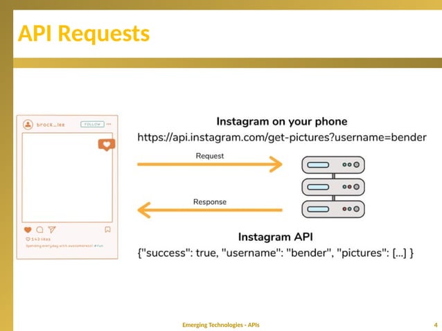 Applications Programming Interfaces (API) | PPTX