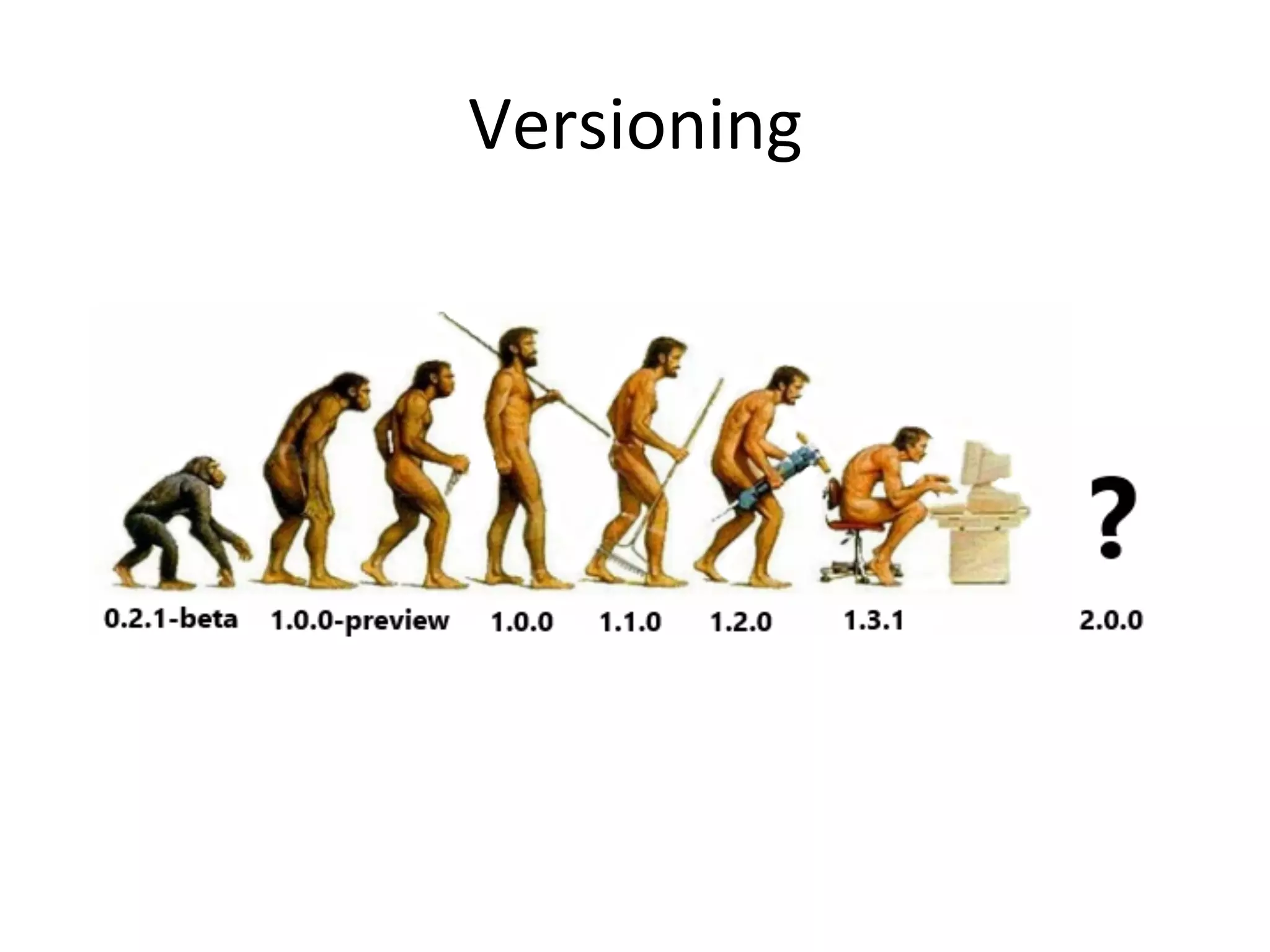 Versioning	
  

 