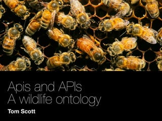 Apis and APIs
A wildlife ontology
Tom Scott
 