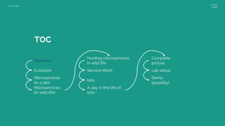 Public usage
Version
0.9999
TOC
Overview
Evolution
Microservices
(in a lab)
Microservices
(in wild life)
Hunting microservices
in wild life
Service Mesh
Istio
A day in the life of
Istio
Complete
picture
Lab setup
Demo
(possibly)
 