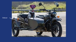 https://www.imz-ural.com/blog/waffles-the-sidecar-dog
Sidecar
 