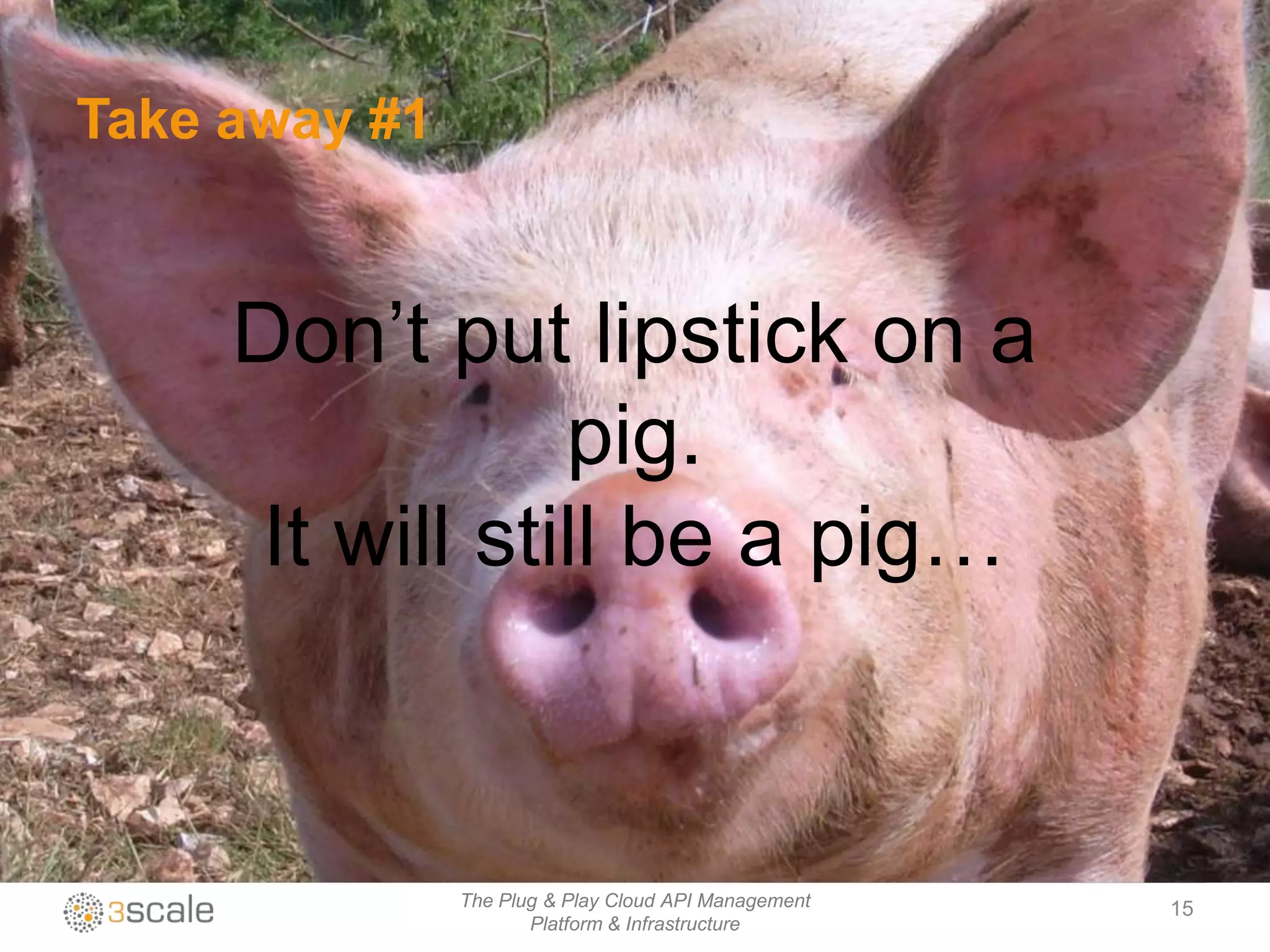 Take away #1


     Don‟t put lipstick on a
                 pig.
      It will still be a pig…



               The Plug & Play Cloud API Management   15
                      Platform & Infrastructure
 