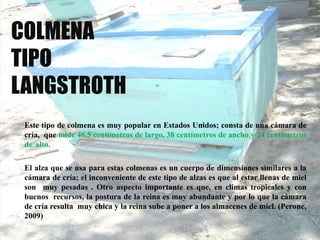 COLMENA
TIPO
LANGSTROTH
Este tipo de colmena es muy popular en Estados Unidos; consta de una cámara de
cría, que mide 46.5 centímetros de largo, 38 centímetros de ancho y 24 centímetros
de alto.
El alza que se usa para estas colmenas es un cuerpo de dimensiones similares a la
cámara de cría; el inconveniente de este tipo de alzas es que al estar llenas de miel
son muy pesadas . Otro aspecto importante es que, en climas tropicales y con
buenos recursos, la postura de la reina es muy abundante y por lo que la cámara
de cría resulta muy chica y la reina sube a poner a los almacenes de miel. (Perone,
2009)
 