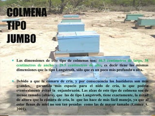 COLMENA
TIPO
JUMBO
 Las dimensiones de este tipo de colmenas son: 46.5 centímetros de largo, 38
centímetros de ancho y 29.5 centímetros de alto, es decir tiene las mismas
dimensiones que la tipo Langstroth, sólo que es un poco más profunda o alta.
 Debido a que la cámara de cría, y por consecuencia los bastidores son más
grandes, garantiza más espacio para el nido de cría, lo que podría
eventualmente evitar la enjambrazón. Las alzas de este tipo de colmena son de
menor tamaño (altura), que las de tipo Langstroth, tiene exactamente, la mitad
de altura que la cámara de cría, lo que las hace de más fácil manejo, ya que al
estar llenas de miel no son tan pesadas como las de mayor tamaño (Gómez A.
2001).
 