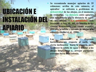 UBICACIÓN E
INSTALACIÓN DEL
APIARIO
 Se recomienda manejar apiarios de 35
colmenas; arriba de este número, el
apicultor se enfrenta a problemas de
defensividad de las abejas, en el momento
de revisarlas. La distancia entre apiarios
está relacionada con la distancia de vuelo
de las abejas. La orientación más
frecuente es Sur, SE, SO, en función de los
vientos dominantes (el viento excesivo
dificulta la salida y entrada de abejas a la
colonia). (Keller et al, 2006).
 Las colmenas se disponen
horizontalmente respecto al suelo, con
cierta inclinación hacia la piquera, para
favorecer la salida de agua y ayudar a las
abejas limpiadoras a arrojar partículas
extrañas fuera de la colonia.
 
