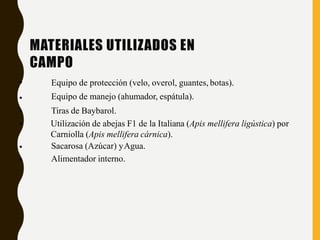 MATERIALES UTILIZADOS EN
CAMPO
•
•
•
•
•
•
Equipo de protección (velo, overol, guantes, botas).
Equipo de manejo (ahumador, espátula).
Tiras de Baybarol.
Utilización de abejas F1 de la Italiana (Apis mellifera ligústica) por
Carniolla (Apis mellifera cárnica).
Sacarosa (Azúcar) yAgua.
Alimentador interno.
 