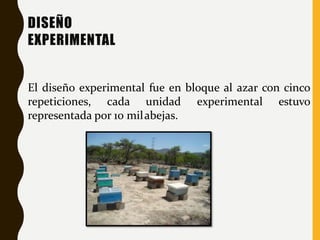 DISEÑO
EXPERIMENTAL
El diseño experimental fue en bloque al azar con cinco
repeticiones, cada unidad experimental estuvo
representada por 10 milabejas.
 