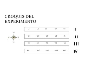 CROQUIS DEL
EXPERIMENTO
 