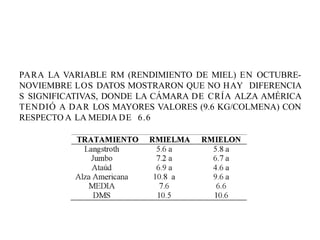 PARA LA VARIABLE RM (RENDIMIENTO DE MIEL) EN OCTUBRE-
NOVIEMBRE LOS DATOS MOSTRARON QUE NO HAY DIFERENCIA
S SIGNIFICATIVAS, DONDE LA CÁMARA DE CRÍA ALZA AMÉRICA
TENDIÓ A DAR LOS MAYORES VALORES (9.6 KG/COLMENA) CON
RESPECTO A LA MEDIA DE 6.6
 