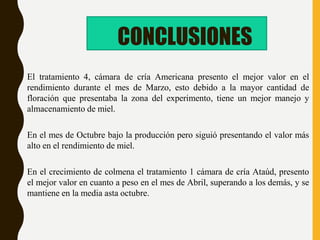 El tratamiento 4, cámara de cría Americana presento el mejor valor en el
rendimiento durante el mes de Marzo, esto debido a la mayor cantidad de
floración que presentaba la zona del experimento, tiene un mejor manejo y
almacenamiento de miel.
En el mes de Octubre bajo la producción pero siguió presentando el valor más
alto en el rendimiento de miel.
En el crecimiento de colmena el tratamiento 1 cámara de cría Ataúd, presento
el mejor valor en cuanto a peso en el mes de Abril, superando a los demás, y se
mantiene en la media asta octubre.
CONCLUSIONES
 