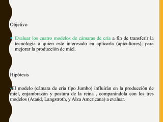 Objetivo
 Evaluar los cuatro modelos de cámaras de cría a fin de transferir la
tecnología a quien este interesado en aplicarla (apicultores), para
mejorar la producción de miel.
Hipótesis
•El modelo (cámara de cría tipo Jumbo) influirán en la producción de
miel, enjambrazón y postura de la reina , comparándola con los tres
modelos (Ataúd, Langstroth, y Alza Americana) a evaluar.
 