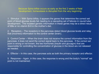 Because Spina bifida occurs as early as the first 2 weeks of fetal 
development, homeostasis is disrupted from the very beginning. 
1. Stimulus – With Spina bifida, it appears the genes that determine the correct set 
point of blood glucose levels fail, leading to a cascading set of failures in neural tube 
development. The mutated genetic information in these genes may be a direct result 
of little or no vitamin B-9 in the mother's diet. 
2. Receptors – The receptors in the pancreas detect blood glucose levels and relay 
that (incorrect) information to the control center (brain). 
3. Control Center – When the brain does not receive the correct information from the 
pancreas, it does not send the correct signal back to the pancreas. If the correct set 
point is wrong or not known, the two hormones (insulin and glucagon) that are 
responsible for controlling the concentration of glucose in the blood are not released 
as needed. 
4. Effector – In this case, the pancreas acts as both the primary receptor and effector. 
5. Response – Again, in this case, the response is wrong and the body's “normal” set 
point is not maintained. 
 