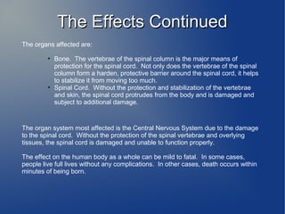 TThhee EEffffeeccttss CCoonnttiinnuueedd 
The organs affected are: 
• Bone. The vertebrae of the spinal column is the major means of 
protection for the spinal cord. Not only does the vertebrae of the spinal 
column form a harden, protective barrier around the spinal cord, it helps 
to stabilize it from moving too much. 
• Spinal Cord. Without the protection and stabilization of the vertebrae 
and skin, the spinal cord protrudes from the body and is damaged and 
subject to additional damage. 
The organ system most affected is the Central Nervous System due to the damage 
to the spinal cord. Without the protection of the spinal vertebrae and overlying 
tissues, the spinal cord is damaged and unable to function properly. 
The effect on the human body as a whole can be mild to fatal. In some cases, 
people live full lives without any complications. In other cases, death occurs within 
minutes of being born. 
 