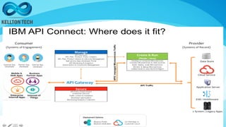 API strategy with IBM API connect | PDF