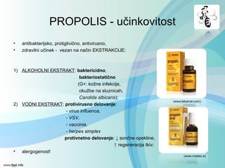 PROPOLIS - učinkovitost
• antibakterijsko, protiglivično, antivirusno,
• zdravilni učinek - vezan na način EKSTRAKCIJE:
1) ALKOHOLNI EKSTRAKT: baktericidno,
bakteriostatično
(G+: kožne infekcije,
okužbe na sluznicah,
Candida albicans);
2) VODNI EKSTRAKT: protivirusno delovanje:
- virus influenca,
- VSV,
- vaccinia,
- herpes simplex
protivnetno delovanje: ↓ sončne opekline,
↑ regeneracija tkiv;
• alergogenost!
(www.lekarnar.com)
(www.medex.si)
 