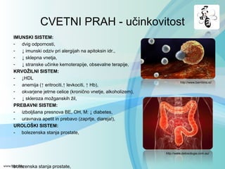 CVETNI PRAH - učinkovitost
IMUNSKI SISTEM:
- dvig odpornosti,
- ↓ imunski odziv pri alergijah na apitoksin idr.,
- ↓ sklepna vnetja,
- ↓ stranske učinke kemoterapije, obsevalne terapije,
KRVOŽILNI SISTEM:
- ↓HDL
- anemija (↑ eritrociti,↑ levkociti, ↑ Hb),
- okvarjene jetrne celice (kronično vnetje, alkoholizem),
- ↓ skleroza možganskih žil,
PREBAVNI SISTEM:
- izboljšana presnova BE, OH, M: ↓ diabetes,
- uravnava apetit in prebavo (zaprtje, diareja!),
UROLOŠKI SISTEM:
- bolezenska stanja prostate,
bolezenska stanja prostate,
http://www.bambino.si/
http://www.detoxologie.com.au/
 