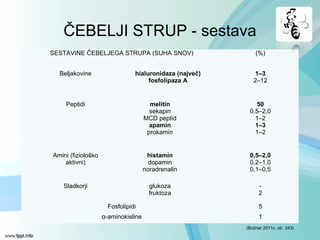 ČEBELJI STRUP - sestava
SESTAVINE ČEBELJEGA STRUPA (SUHA SNOV) (%)
Beljakovine hialuronidaza (največ)
fosfolipaza A
1–3
2–12
Peptidi melitin
sekapin
MCD peptid
apamin
prokamin
50
0,5–2,0
1–2
1–3
1–2
Amini (fiziološko
aktivni)
histamin
dopamin
noradrenalin
0,5–2,0
0,2–1,0
0,1–0,5
Sladkorji glukoza
fruktoza
-
2
Fosfolipidi 5
α-aminokisline 1
(Božnar 2011c, str. 343)
 