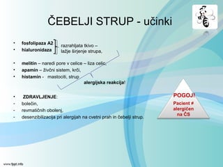 • fosfolipaza A2
• hialuronidaza
• melitin – naredi pore v celice – liza celic,
• apamin – živčni sistem, krči,
• histamin - mastociti, strup
• ZDRAVLJENJE:
- bolečin,
- revmatičnih obolenj,
- desenzibilizacija pri alergijah na cvetni prah in čebelji strup.
ČEBELJI STRUP - učinki
razrahljata tkivo –
lažje širjenje strupa,
alergijska reakcija!
Pacient ≠
alergičen
na ČS
POGOJ!
 