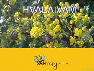 (www.beehappy.si)
 